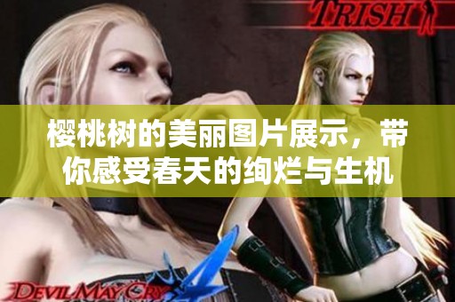 樱桃树的美丽图片展示，带你感受春天的绚烂与生机