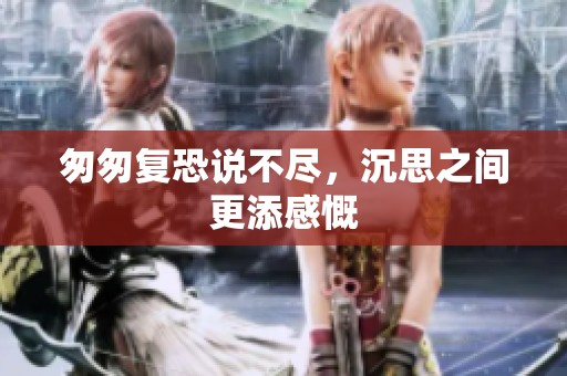 匆匆复恐说不尽，沉思之间更添感慨