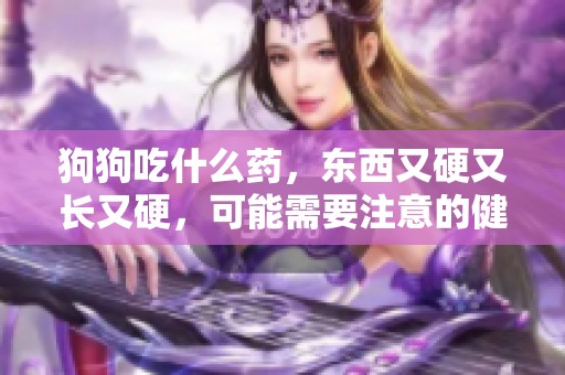 狗狗吃什么药，东西又硬又长又硬，可能需要注意的健康问题