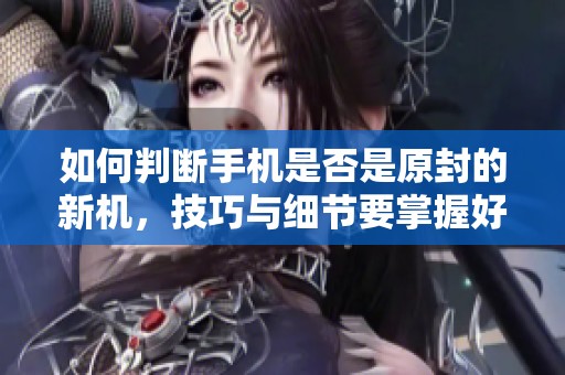 如何判断手机是否是原封的新机，技巧与细节要掌握好