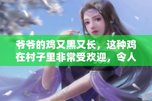 爷爷的鸡又黑又长，这种鸡在村子里非常受欢迎，令人垂涎欲滴。