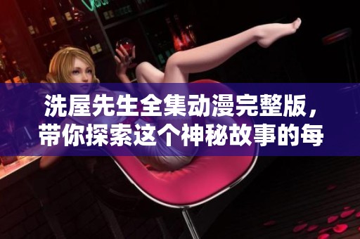洗屋先生全集动漫完整版，带你探索这个神秘故事的每个角落