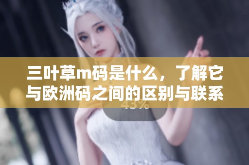 三叶草m码是什么，了解它与欧洲码之间的区别与联系