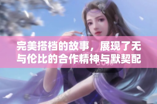 完美搭档的故事，展现了无与伦比的合作精神与默契配合。