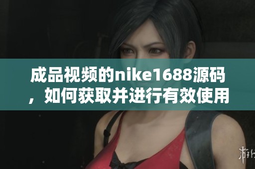 成品视频的nike1688源码，如何获取并进行有效使用讲解