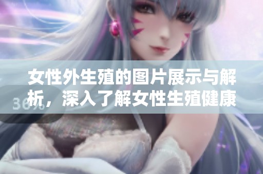 女性外生殖的图片展示与解析，深入了解女性生殖健康的重要性