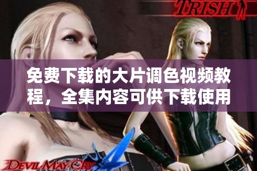 免费下载的大片调色视频教程，全集内容可供下载使用