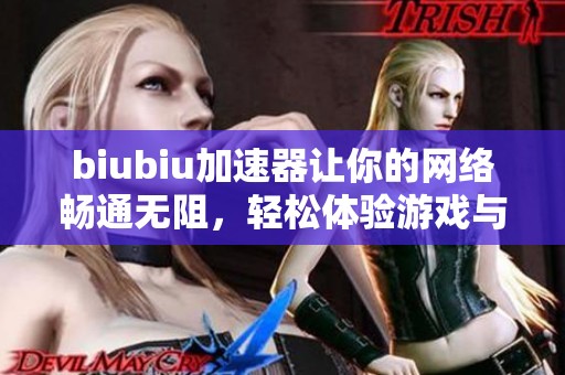 biubiu加速器让你的网络畅通无阻，轻松体验游戏与视频服务