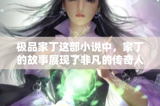 极品家丁这部小说中，家丁的故事展现了非凡的传奇人生。