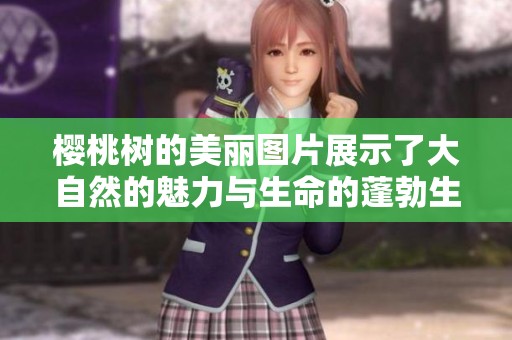 樱桃树的美丽图片展示了大自然的魅力与生命的蓬勃生机