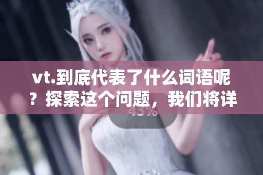 vt.到底代表了什么词语呢？探索这个问题，我们将详细分析。