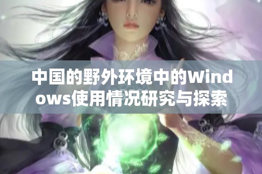 中国的野外环境中的Windows使用情况研究与探索