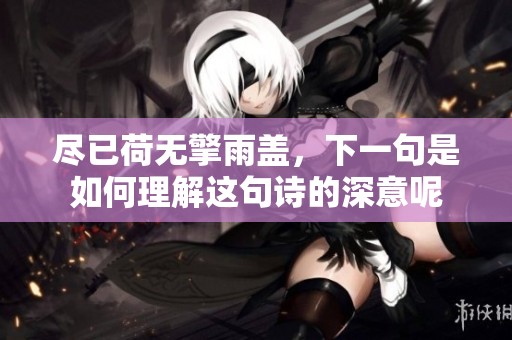 尽已荷无擎雨盖，下一句是如何理解这句诗的深意呢