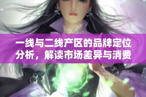 一线与二线产区的品牌定位分析，解读市场差异与消费趋势