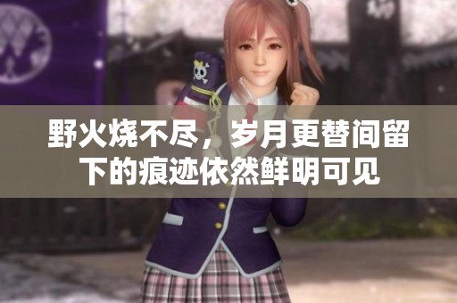 野火烧不尽，岁月更替间留下的痕迹依然鲜明可见