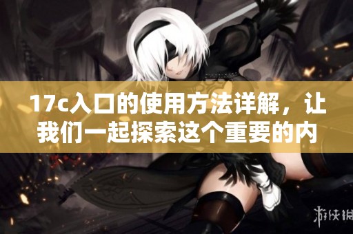 17c入口的使用方法详解，让我们一起探索这个重要的内容入口
