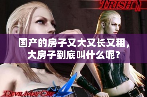 国产的房子又大又长又租，大房子到底叫什么呢？