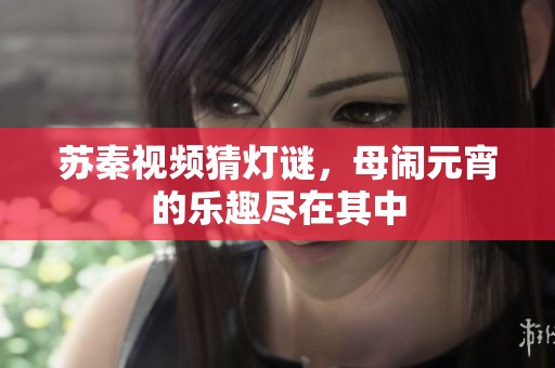 苏秦视频猜灯谜，母闹元宵的乐趣尽在其中