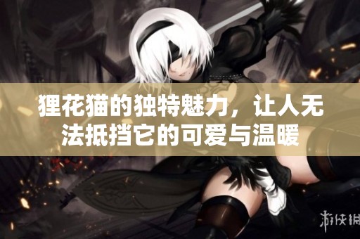 狸花猫的独特魅力，让人无法抵挡它的可爱与温暖