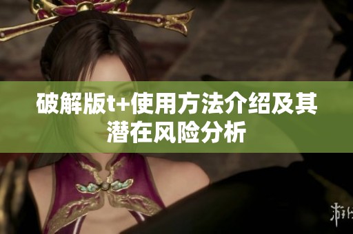 破解版t+使用方法介绍及其潜在风险分析