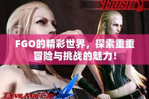 FGO的精彩世界，探索重重冒险与挑战的魅力！