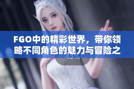 FGO中的精彩世界，带你领略不同角色的魅力与冒险之旅