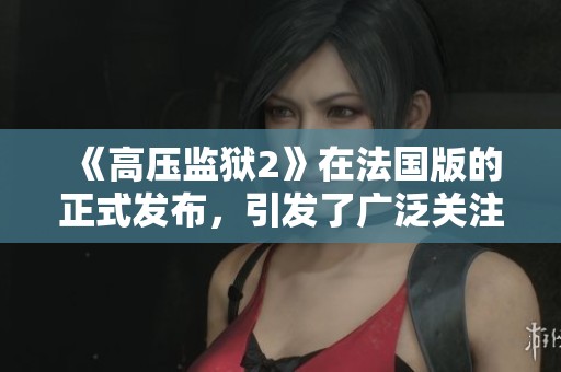 《高压监狱2》在法国版的正式发布，引发了广泛关注与讨论