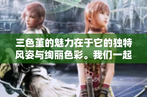 三色堇的魅力在于它的独特风姿与绚丽色彩。我们一起来欣赏三色堇的迷人之处吧！