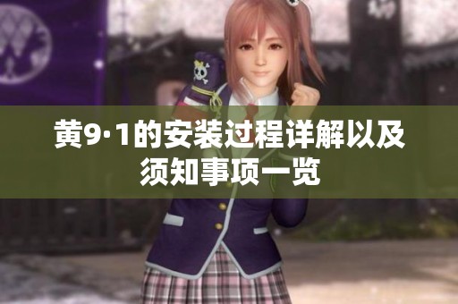 黄9·1的安装过程详解以及须知事项一览