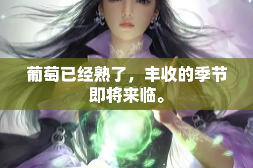 葡萄已经熟了，丰收的季节即将来临。