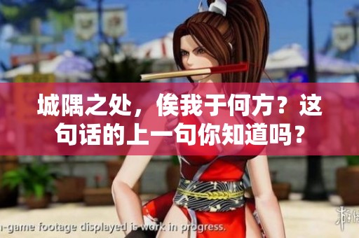 城隅之处，俟我于何方？这句话的上一句你知道吗？