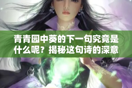 青青园中葵的下一句究竟是什么呢？揭秘这句诗的深意与趣味。
