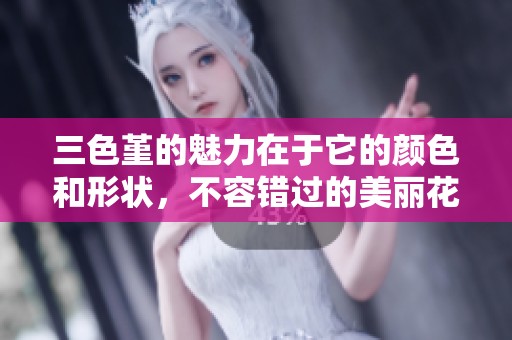 三色堇的魅力在于它的颜色和形状，不容错过的美丽花卉