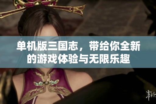 单机版三国志，带给你全新的游戏体验与无限乐趣