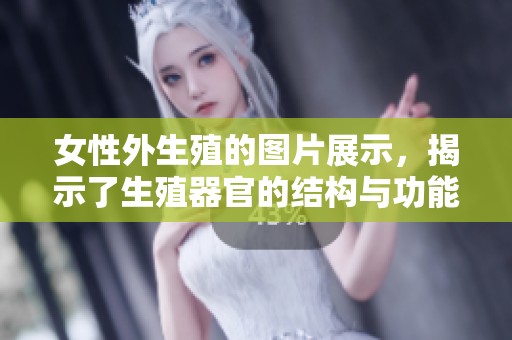 女性外生殖的图片展示，揭示了生殖器官的结构与功能