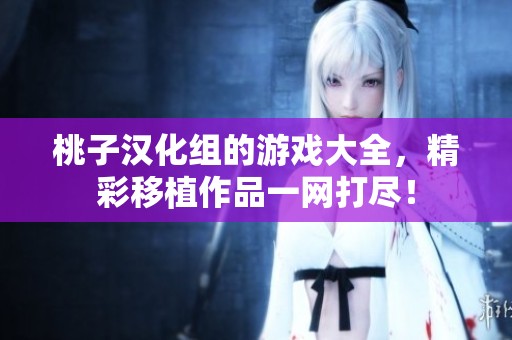 桃子汉化组的游戏大全，精彩移植作品一网打尽！