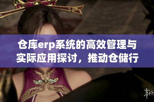 仓库erp系统的高效管理与实际应用探讨，推动仓储行业的发展与进步