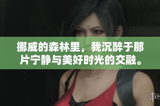 挪威的森林里，我沉醉于那片宁静与美好时光的交融。