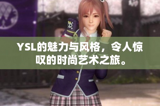 YSL的魅力与风格，令人惊叹的时尚艺术之旅。