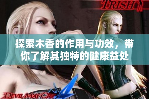 探索木香的作用与功效，带你了解其独特的健康益处