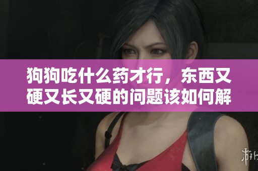 狗狗吃什么药才行，东西又硬又长又硬的问题该如何解决呢