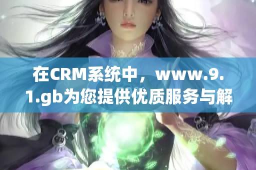 在CRM系统中，www.9.1.gb为您提供优质服务与解决方案