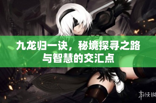 九龙归一诀，秘境探寻之路与智慧的交汇点