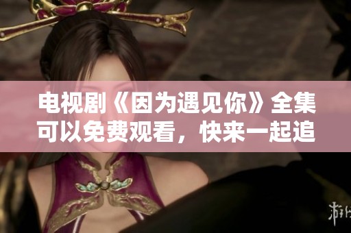 电视剧《因为遇见你》全集可以免费观看，快来一起追逐精彩剧情吧