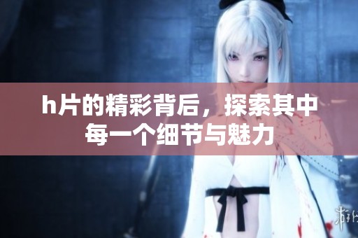 h片的精彩背后，探索其中每一个细节与魅力