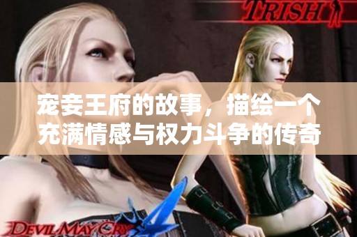 宠妾王府的故事，描绘一个充满情感与权力斗争的传奇生活