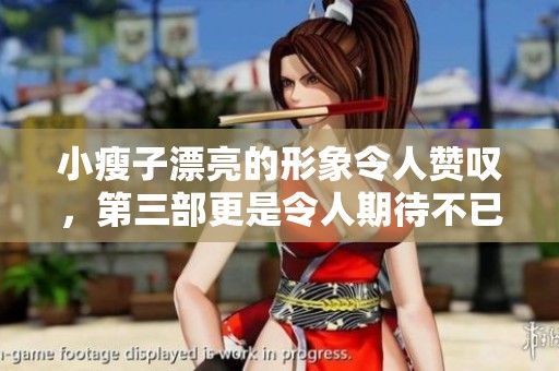 小瘦子漂亮的形象令人赞叹，第三部更是令人期待不已