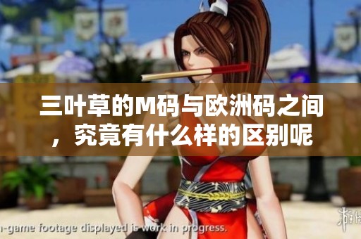 三叶草的M码与欧洲码之间，究竟有什么样的区别呢