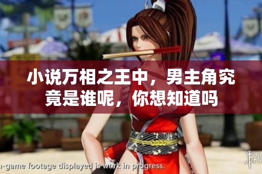 小说万相之王中，男主角究竟是谁呢，你想知道吗
