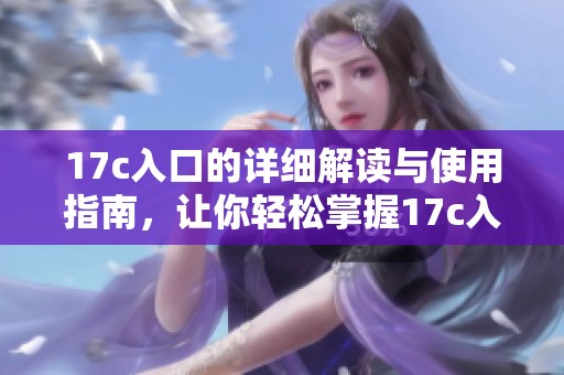 17c入口的详细解读与使用指南，让你轻松掌握17c入口的所有功能